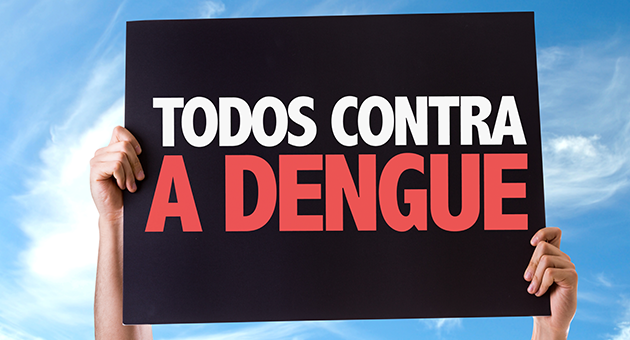 Imagem sobre a dengue