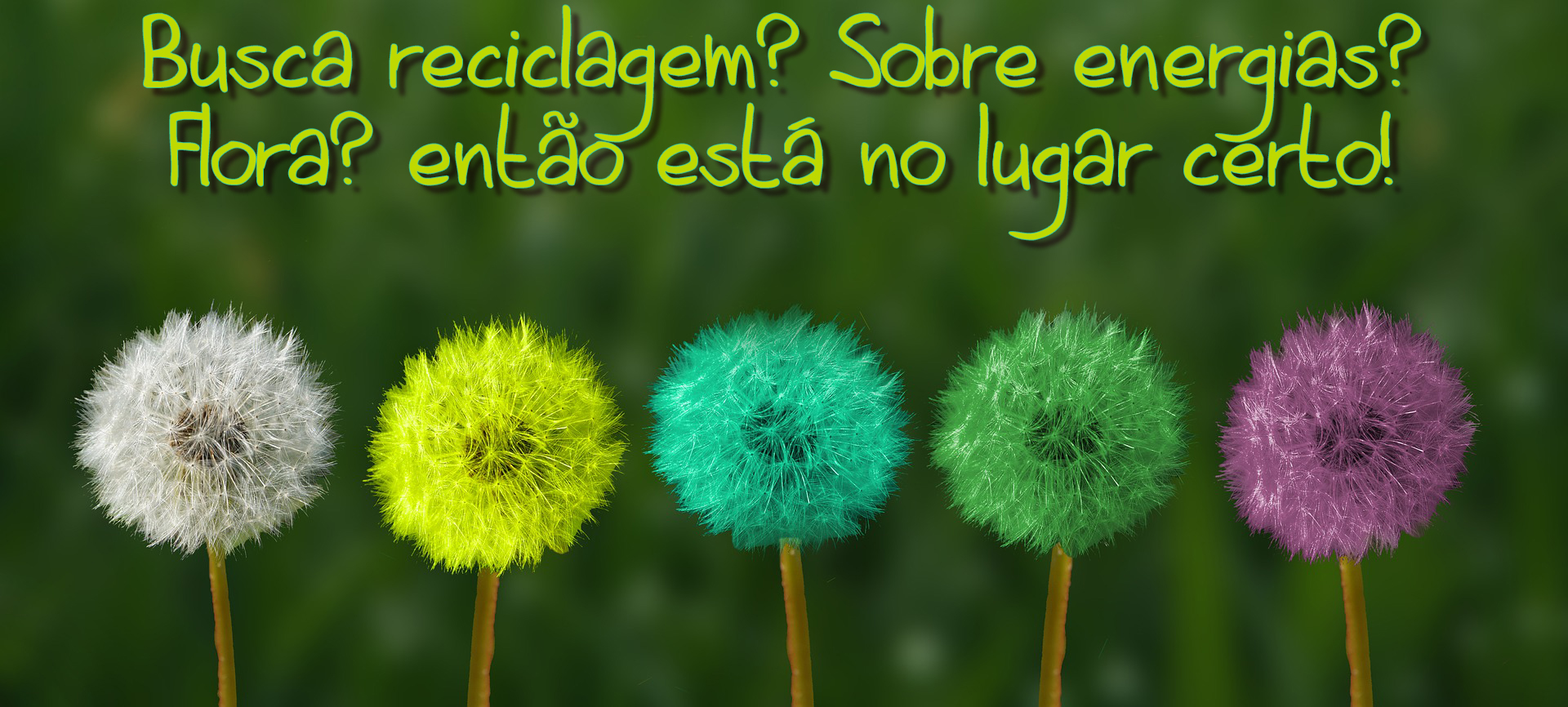 Imagem sobre a guia
